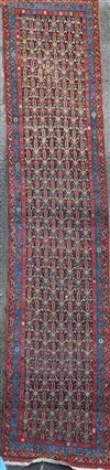 An antique Azerbaijan runner, 15ft 4in by 3ft 7in.                                                                                     