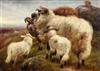 Robert Watson (fl.1877-1920) Highland cattle and sheep in landscapes 9.5 x 13.5in.                                                     