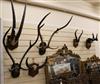 Six sets of mounted antlers                                                                                                            