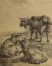 Follower of Paulus Potter (1625-1654), charcoal drawing, Goats in a landscape, 40 x 33cm                                                                                                                                    