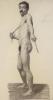 F. Gregory 1895, charcoal study, Standing male nude, with Art College stamp, 69 x 43cm                                                                                                                                      