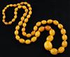 A single strand graduated oval amber bead necklace, 97cm.                                                                              