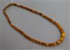 A single strand graduated amber bead necklace, 70cm.                                                                                   