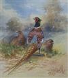 Two watercolours of pheasants by Royal Worcester artists; W E Powell and J Stinton 13 x 11 and 11 x 15cm.                              