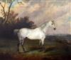 J.W. Webb (19th) Dapple grey horse in a landscape 25 x 31in.                                                                           