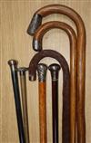 Six silver mounted walking canes and another 9ct gold mounted cane                                                                     