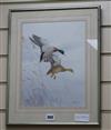 Ronald David Digby, watercolour with bodycolour, two Mallard ducks in flight, 30.5 x 22.5cm                                            