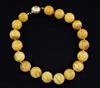 A single strand circular amber bead necklace with 18ct gold ball clasp, 50cm.                                                          