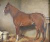 J. Danson (19thC), oil on board, Study of a horse in a stable, signed and dated 1881, 18 x 22cm                                                                                                                             