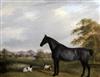 H.C. Smith (19th C.) Portrait of a black horse and two dogs in a landscape 26 x 33in.                                                  