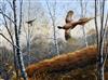 Adrian C. Rigby (1962-) Pheasants flying through a birch wood 16 x 22.5in.                                                             