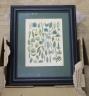 A set of eight 19th century hand coloured botanical engravings, 26 x 20cm                                                                                                                                                   