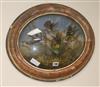 A Victorian display of taxidermic Birds of Paradise, in an oval frame length 53cm                                                      