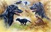 § Mick Cawston (1959-) Black Labradors 19 x 29in.                                                                                      