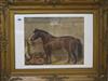 Walter Harrowing (1838-1913), oil on card, bay horse in stable, signed and dated 1903, 38 x 38cm                                       