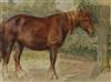 Harry Fidler, watercolour, Study of a chestnut horse, 25 x 34cm                                                                        