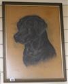 Marjorie Cox, pastel, portrait of a black Labrador "Sam", signed and dated 1984, 54 x 40cm                                             