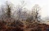 § Colin Burns (b.1944) Pheasant in woodland 23 x 35in.                                                                                 