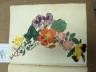 An early 19th century album of 152 watercolours, and pencil and ink drawings, including natural history still life subjects, land and seascapes and vignettes, many with accompanying verse and prose, by approximately 30 d