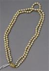 A double strand cultured pearl necklace, with cultured pearl yellow metal clasp, 38cm.                                                 