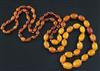 A single strand graduated amber bead necklace, 132cm.                                                                                  