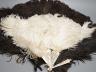 A quantity of feather fans                                                                                                                                                                                                  