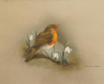 Full Catalogue Entry
