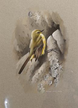 Full Catalogue Entry