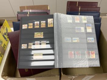 Full Catalogue Entry