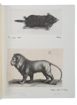 Full Catalogue Entry