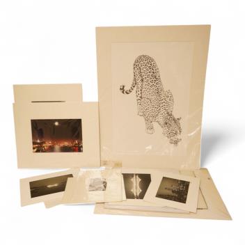 Full Catalogue Entry