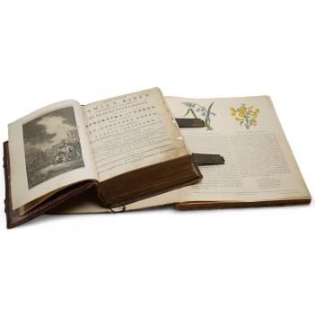 Full Catalogue Entry
