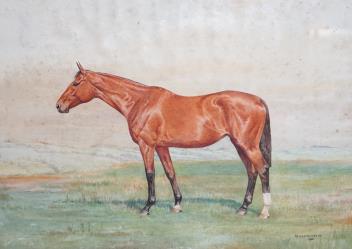 Full Catalogue Entry