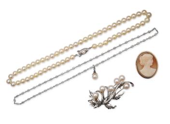 Full Catalogue Entry