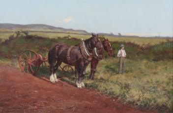 Full Catalogue Entry