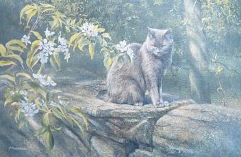 Full Catalogue Entry