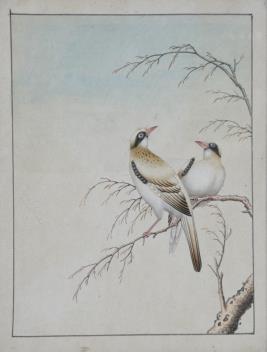 Full Catalogue Entry