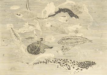 Full Catalogue Entry