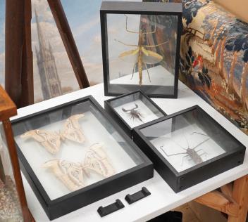 Full Catalogue Entry