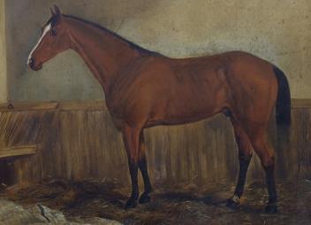 Full Catalogue Entry