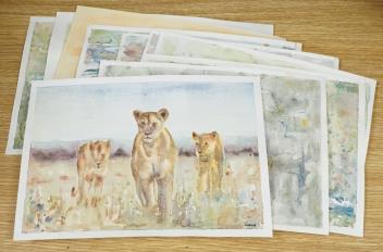 Full Catalogue Entry