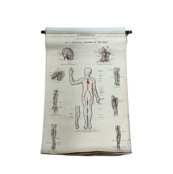 Full Catalogue Entry