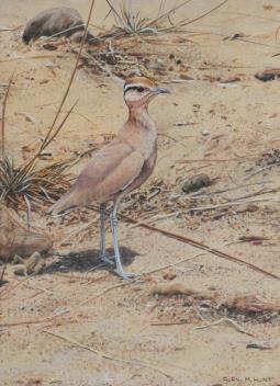 Full Catalogue Entry