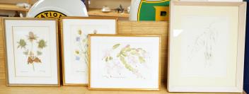 Full Catalogue Entry