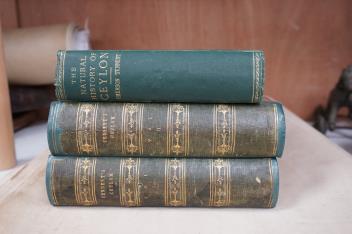 Full Catalogue Entry