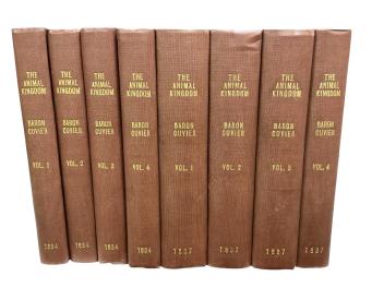 Full Catalogue Entry