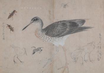 Full Catalogue Entry