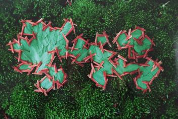 Full Catalogue Entry