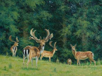 Full Catalogue Entry