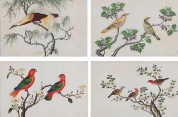 Full Catalogue Entry